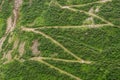 Winding mountain path top view. Walking path for the descent Royalty Free Stock Photo