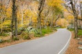 Winding Mountain Road Royalty Free Stock Photo