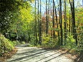 Winding mountain road in the fall Royalty Free Stock Photo