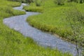 Winding mountain stream