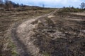 A winding narrow path on the ground with last yearÃ¢â¬â¢s dry grass climbing a hill