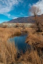 Owens River near Lone Pine