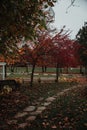 Winding park path lined with trees with their autumn leaves