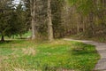 Winding park path at forest edge