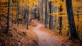 Winding Path Through an Autumn Forest Royalty Free Stock Photo