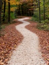 Winding path through autumn forest Royalty Free Stock Photo