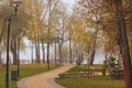 Winding path in the autumn park. The concept of foggy weather in the city. Foggy autumn morning in the Park Natalka Royalty Free Stock Photo