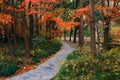 A winding path. Colorful woods.