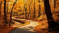 winding path covered in golden leaves through a forest