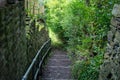 Winding Path Down a Hill Royalty Free Stock Photo