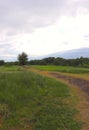 Winding Path on Farmland
