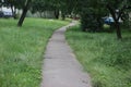 Winding Path in a green garden. Summer landscape Royalty Free Stock Photo