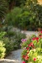 A winding path made of paving stones among tropical flowers and blooming green plants and leaves in a tropical garden Royalty Free Stock Photo