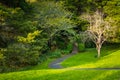 A winding path runs through lush green of a park towards a narrow wooden bridge. Quiet summer evening