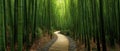 The winding path through a serene bamboo forest inviting exploration and tranquility. AI generated image Royalty Free Stock Photo