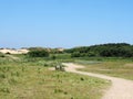 Winding path to sand dunes and grass on the merseyside coast near formby with a bench in the middle distance and blue summer sky Royalty Free Stock Photo