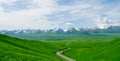 A winding path, it is to take us to Tianshan snow lotus road Royalty Free Stock Photo