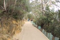 Winding path to Three Sisters mountain