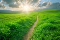 Winding path through vibrant green meadow at sunset