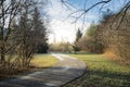 A winding path in a winter park, with the light of the sunset casting shadows on the branches of the trees Royalty Free Stock Photo