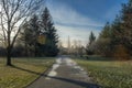 A winding path in a winter park, with the light of the sunset casting shadows on the branches of the trees Royalty Free Stock Photo