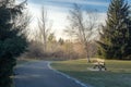 A winding path in a winter park, with the light of the sunset casting shadows on the branches of the trees Royalty Free Stock Photo