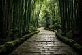 Winding pathway, made of bamboo, traversing a beautiful forest in Japan. Generate Ai