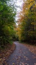 A winding paved path meanders through an autumn forest, adorned with vibrant fall foliage and scattered leaves, creating a Royalty Free Stock Photo