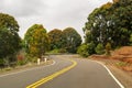 A winding paved road leading deeper into the rainforest on Kauai Royalty Free Stock Photo