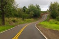 A winding paved road leading deeper into the rainforest on Kauai Royalty Free Stock Photo