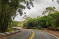 A winding paved road leading deeper into the rainforest on Kauai Royalty Free Stock Photo