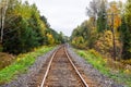 Railway tracks running through a forest on a cloudy autumn day Royalty Free Stock Photo