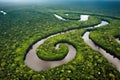a winding river in the amazonas, with pristine waters and lush vegetation