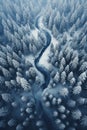 Winding river in coniferous forest in winter, aerial top view of snowy blue woods. Scenery of snow, path and frozen trees. Concept Royalty Free Stock Photo