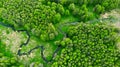 Winding river between forest. Ecologically clean area of the planet Royalty Free Stock Photo