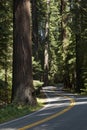 Winding Road Royalty Free Stock Photo