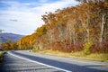 Winding road along an autumn maple grove Royalty Free Stock Photo