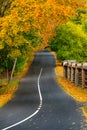Winding road in autumn, colorful countryside scene in Lithuania nature foliage