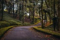 winding road in the autumn forest among the palm trees Royalty Free Stock Photo