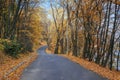 The winding road in the autumn park with the roadsides strewed with fallen leaves Royalty Free Stock Photo