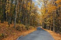 The winding road in the autumn park with the roadsides strewed with fallen yellow leaves Royalty Free Stock Photo