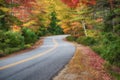 Winding road through autumn trees Royalty Free Stock Photo