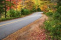 Winding road through autumn trees Royalty Free Stock Photo