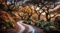 Enchanted Forest Path with Ancient Gnarled Trees at Sunset Royalty Free Stock Photo