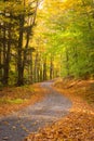 Winding Road in Autumn Royalty Free Stock Photo