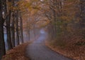 Winding road in autumn in Woodstock Vermont