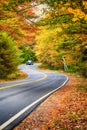 Winding road through beautiful autumn trees Royalty Free Stock Photo