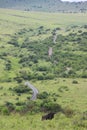 Winding road in the bush Royalty Free Stock Photo