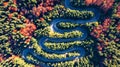 Winding road in Carpathian Mountains, Romania Royalty Free Stock Photo