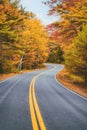 Winding road curves through autumn foliage trees Royalty Free Stock Photo